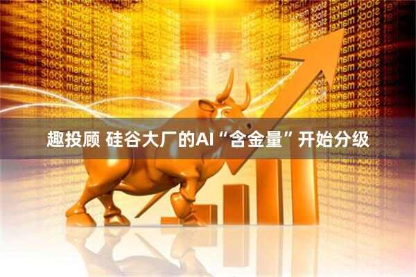 趣投顾 硅谷大厂的AI“含金量”开始分级