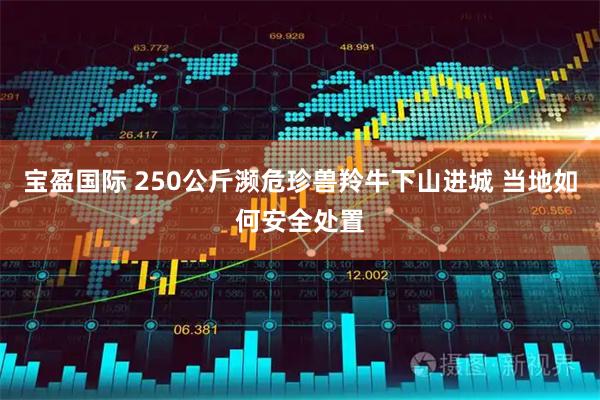 宝盈国际 250公斤濒危珍兽羚牛下山进城 当地如何安全处置