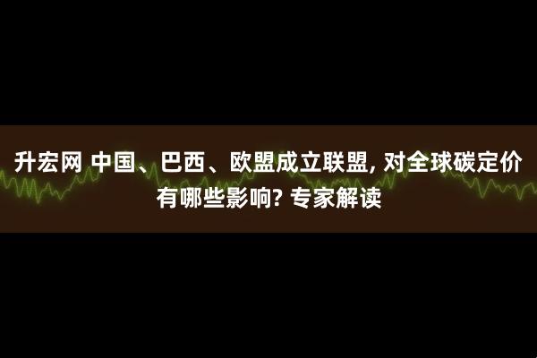 升宏网 中国、巴西、欧盟成立联盟, 对全球碳定价有哪些影响? 专家解读