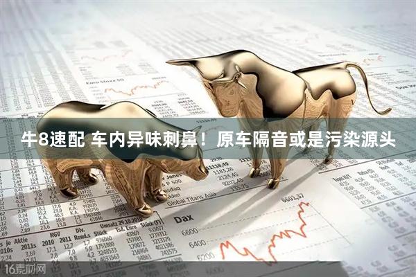 牛8速配 车内异味刺鼻！原车隔音或是污染源头
