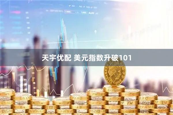 天宇优配 美元指数升破101